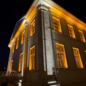 30CM 9W LED Wallwasher Beyaz