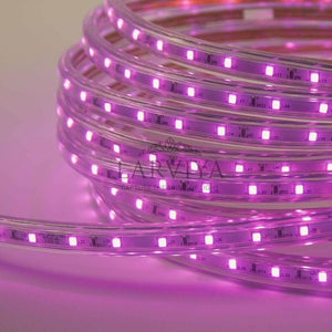 Tek Sıra Hortum Şerit LED Pembe